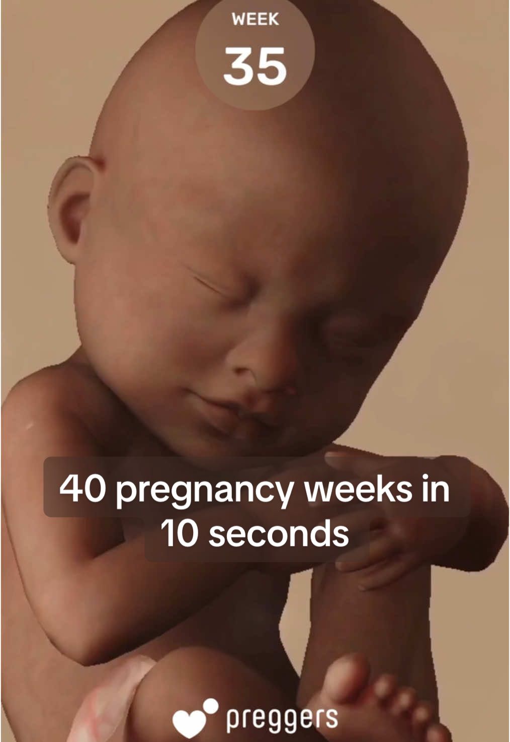 9 months of baby growth in just 10 seconds! 😍🤰 Mind-blowing! #preggersapp #preggers #pregnancy #pregnant #pregnancyapp #pregnanttiktok #pregnant2025 #PregnancyJourney #BabyOnBoard 