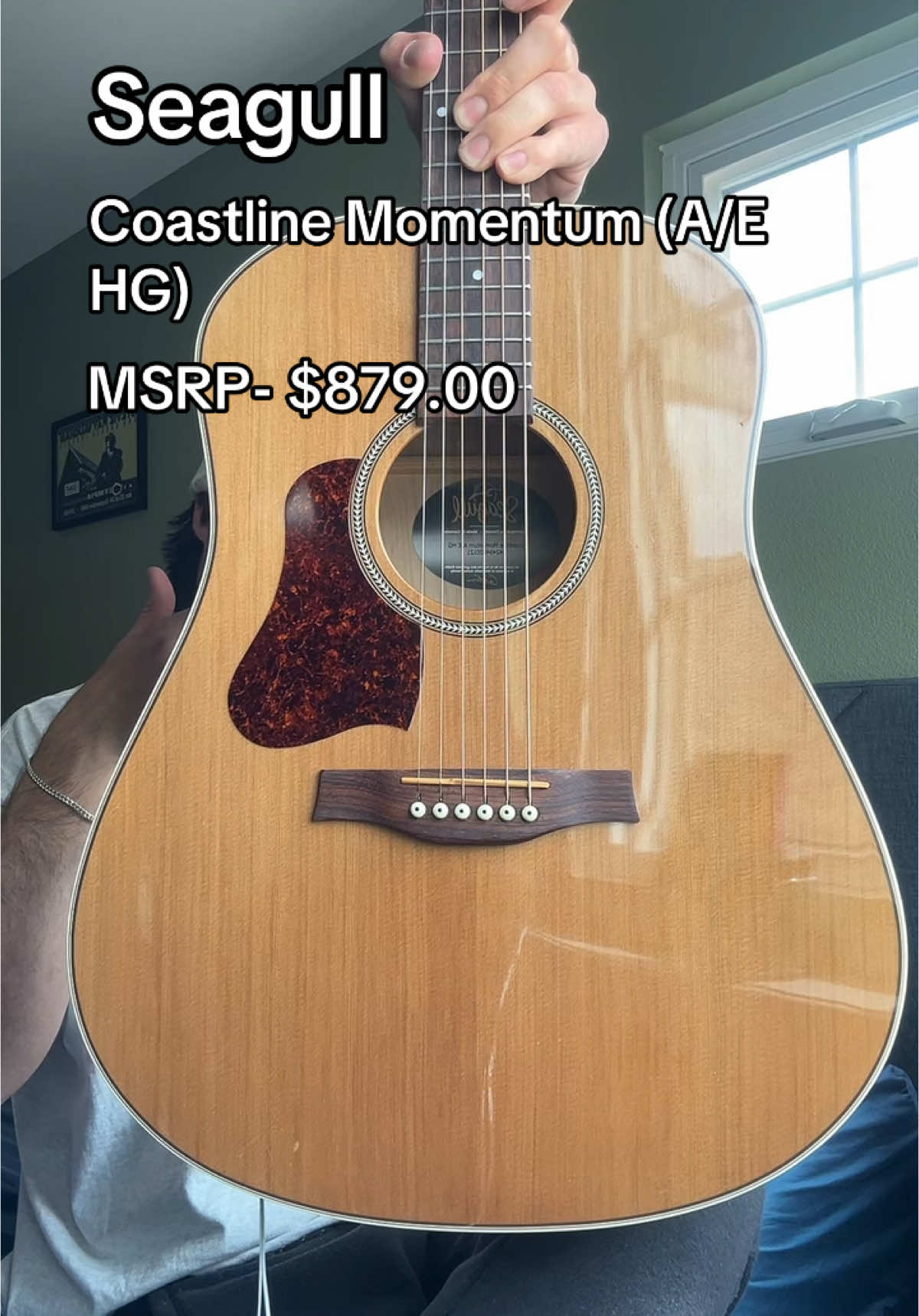 My acoustic guitars! Which one is your favorite? #foryoupage #guitar #cover #fyp #acoustic #guitars #fy 