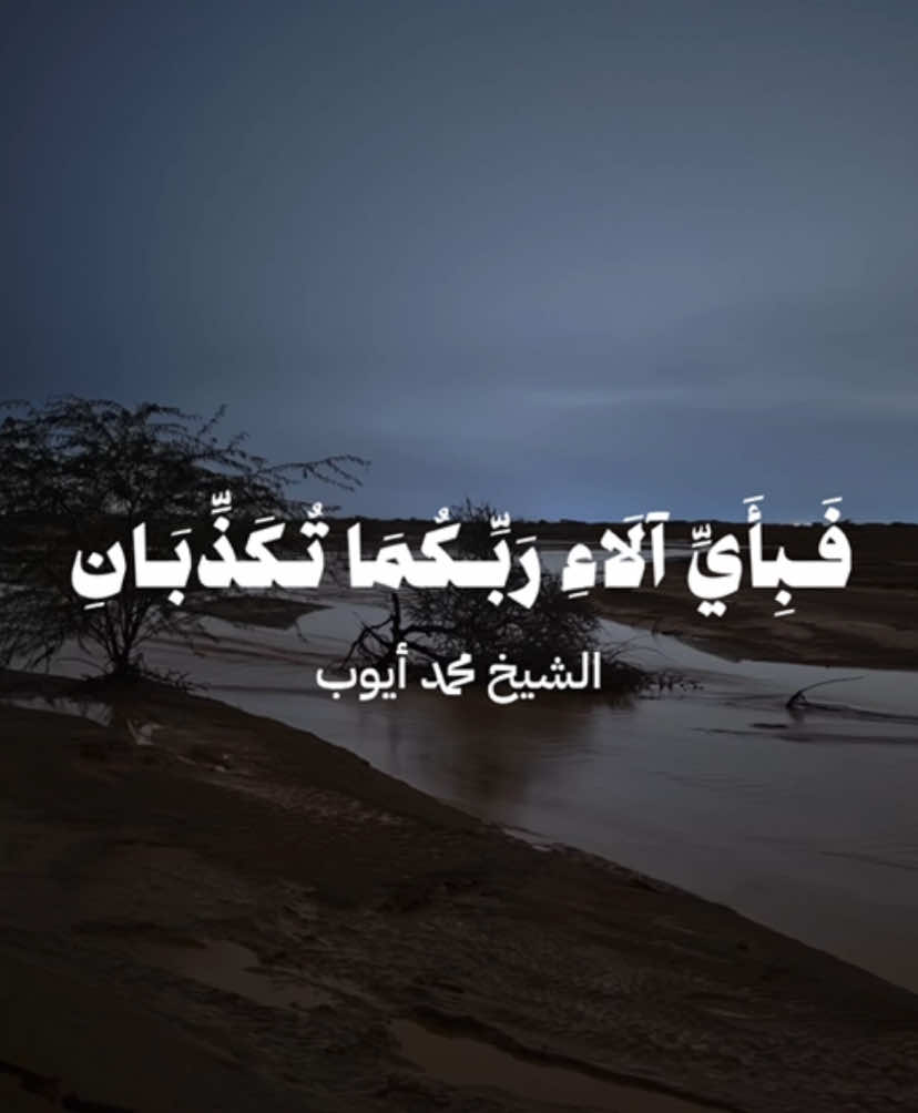 هل جزاءُ الإحسانِ إلا الإحسان، فَبأيّ آلاءِ ربِّكُما تُكذِّبان