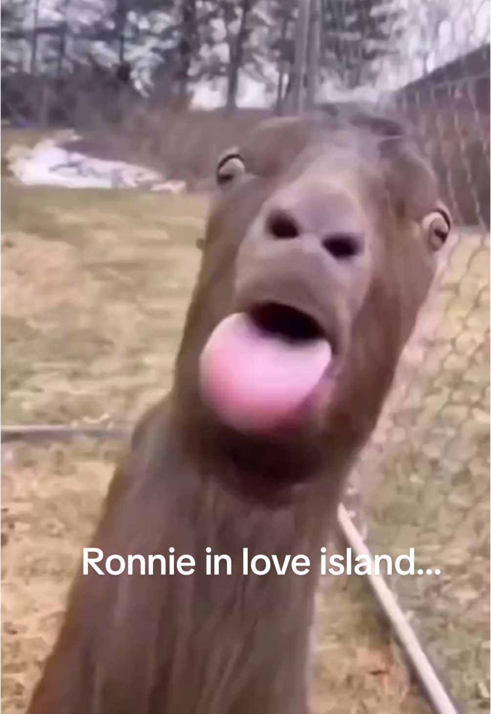 Ronnie from Love Island licking his lips every two seconds 😂 #MemeCut #LoveIsland #annoying #banter #fyp #fyppppppppppppppppppppppp #fypdong #loveislanduk #loveislandallstars #loveislandbestbits #foryourpages #foryourpagechallenge #Meme #MemeCut 