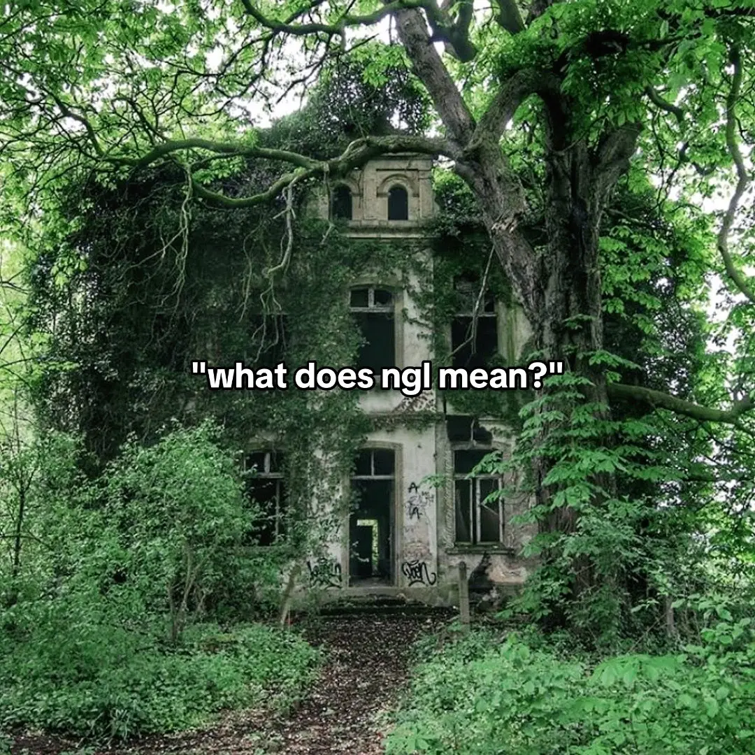 obviously while being safe #abandoned #abandonedhouse #urbex #urbexventures #urbexpeople #adventure #travel #abandonedmansion #leftbehind 