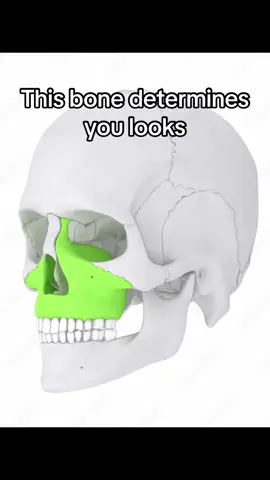 The heighest return on investment you can think of    #mewingshop #mogged #chicolachowski #jordanbarrett #looksmax #looks #GlowUp #SelfImprovement #looksmatter #mogg #slayer #unknown #mogger #mew #mewing 