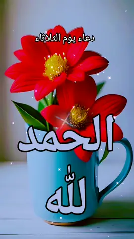 #دعاء #صباح #يوم #الثلاثاء #صباح_الخير #صباحكم_أحلى_صباح #صباحكم_معطر_بذكر_الله #اسعد_الله_جميع_اوقاتكم🌹🌹 #اللهم_امين_يارب_العالمين #اكسبلور 