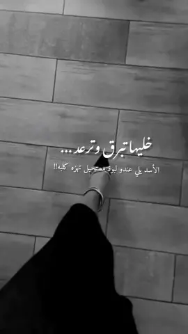 الأسد يلي عندو لبوة مستحيل تهزه كلبه💋 🤍#خطيبي_القلب_والروح💍♥️♥ 