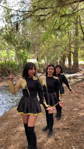 Cachis de @Huehue MusicBand  🤩 @Sofis🦕🫶🏻 @Gadeline Dayana Agus @¿?  #TikTokLIVE #LIVE #LIVEhighlights #bandas #cachiporrista #huehuetenango💛💚 