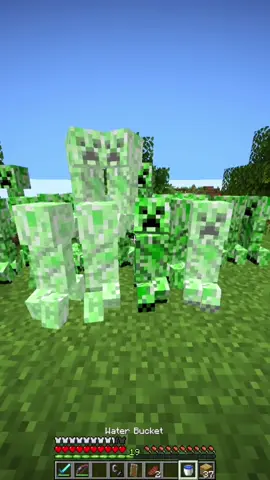 Minecraft moment #Minecraft #minecraftmemes #minecrafter 