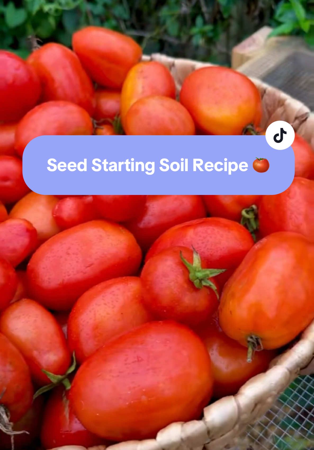 Starting your own plants from seed is a gardening game changer. Not only will you have exponentially more variety choices, you’ll save a ton of money.  Another thing that will help you save money is mixing your own soils.  Small Batch Seed Starting Soil:  Seed Starting Soil Recipe:   1 Small (1.4 lb) block coconut coir (expands to about 2 gallons)   1 Gallon Fine Compost or Worm Castings  (16 cups) ch 4 Cups Perlite   4 Cups Vermiculite   1/2 Cup Seeds Starting Fertilizer mix (recipe below or also available in my bio/linktree)   Seed Starting Fertilizer Recipe:  4 parts Azomite 2 parts green sand  1 part blood meal 1 part bone meal 2 parts biochar   #seedstarting #growingtomatoes #garden #abundance