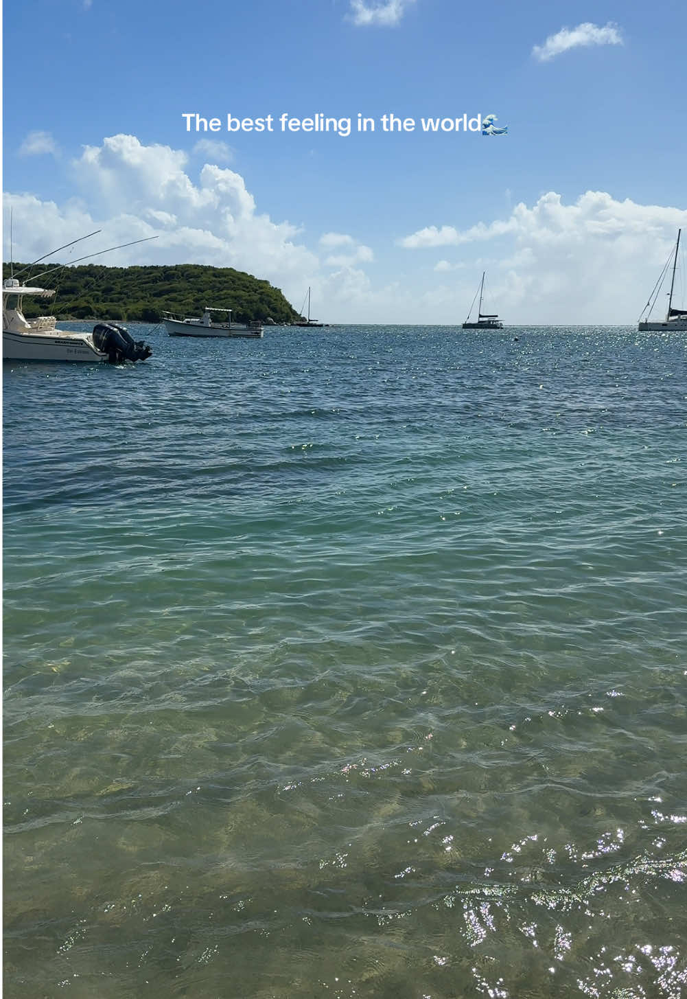 Can’t get tired of it🌴 #tropical #tropicalvibes #vibesdeisla #vibestropicales #playa #playavibes #beachvibes #islandlife 