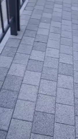 Astagfirallah es cream terkeras yang pernah gw cobain😩😩 es cream macam apa ini guys??😬😬 #escreampalingkeras #escream #bikinkesel 