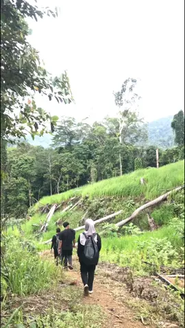 #hutankalimantan #fyp #CapCut#hutankalimantan #pesonaindonesia @pesona.kalimantan 