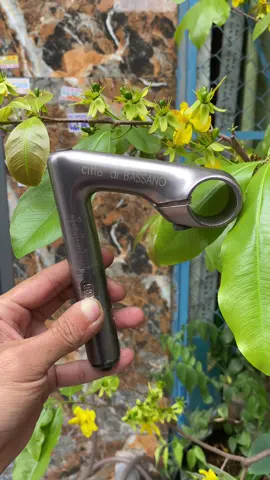 Có ai thích ko ah#xuhuongtiktok #patvlog #xedapco #potangaarea 