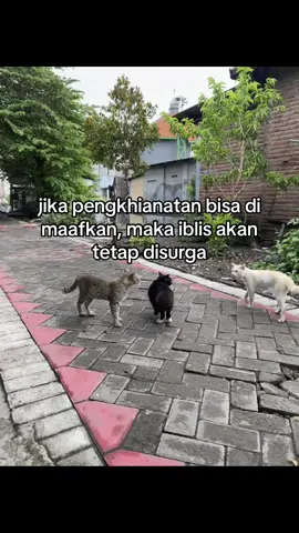 #alittlepieceofheaven #a7x 