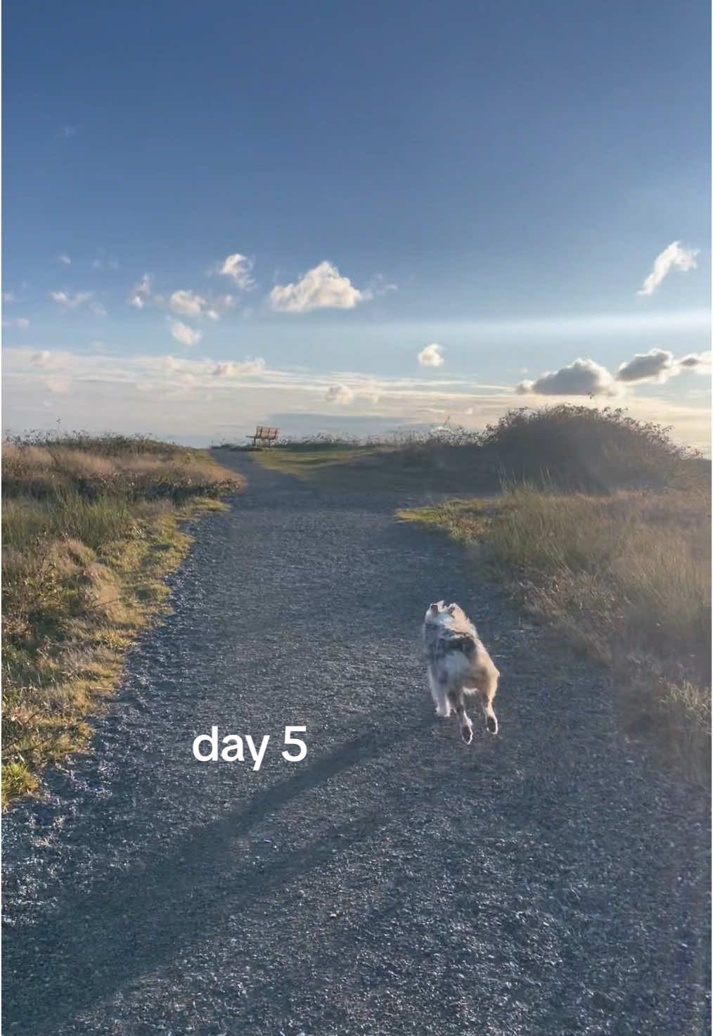 hii adventure vlog 🖤 #day5 #quitting 