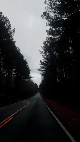 A long road and a lot of thoughts🖤 #Mood #Moment #2025 #Nature #Dark #🖤 #🖤🥀 #fyp #forest #roadtrip #beautiful 