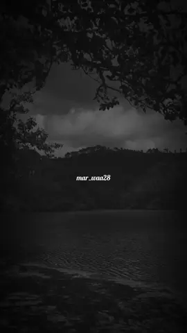 كامل ابوني خاوتي🥺🫶🏻#fyp #viral_video #foryoupage #paroles_rai #rai_algerien #كلام_من_ذهب #كلام_من_القلب #كلام_في_الصميم #videocreator 