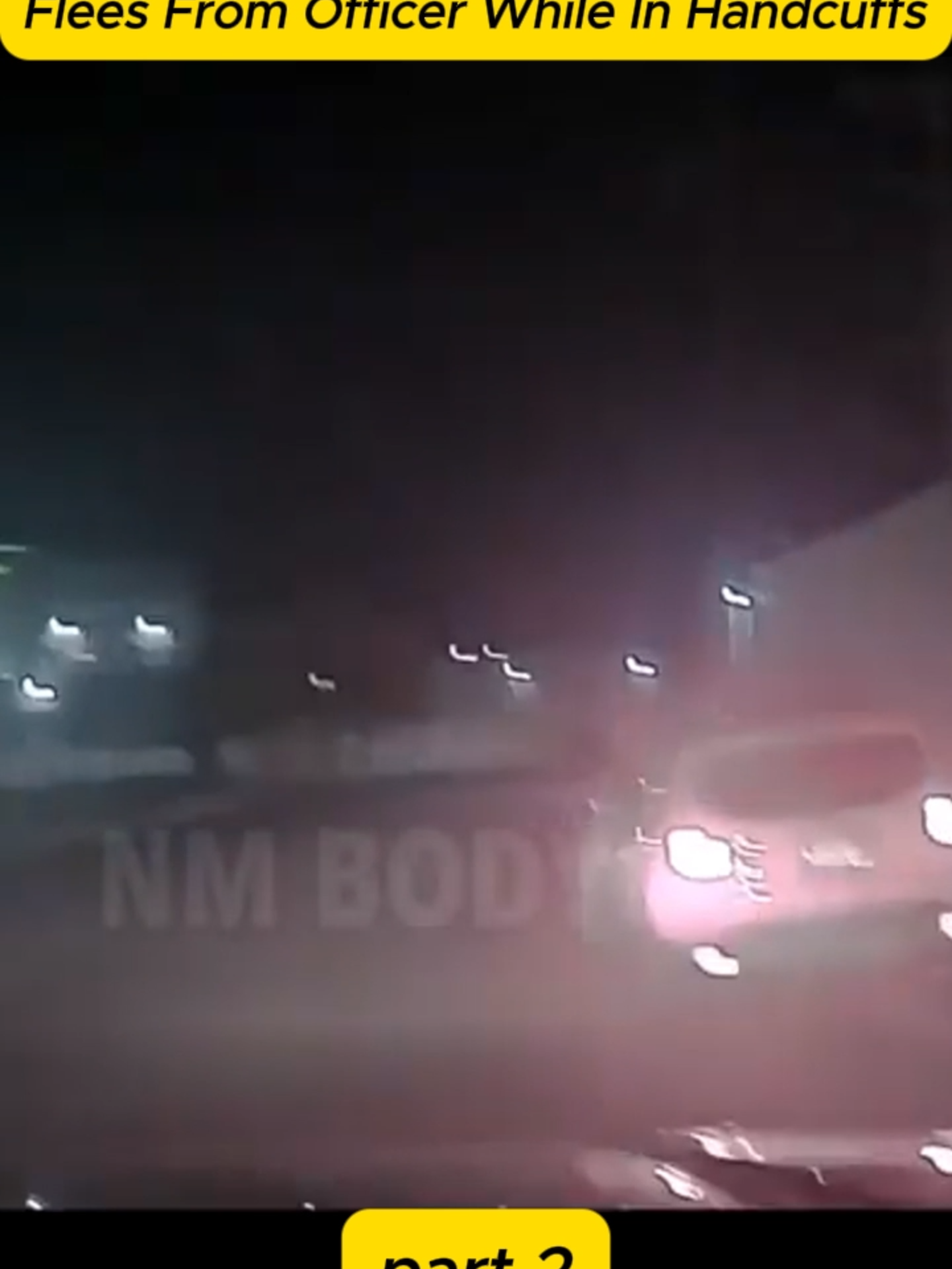 Drunk Driver Driving On 2 Wheels, Flees From Officer While In Handcuffs #cops #police #crime #copsoftiktok #policeofficer #truecrimetiktok