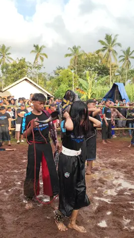 Kalap all in srikandine MSM #mahesoauromenggolo  #kalapan  #bantengan  #mberot 