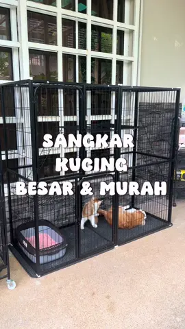 Nak beli sangkar kucing yang besar, korang wajib beli dekat sini. Harga dia berpatutan dan murah, korang takkan dapat harga macam ni kalau beli kat kedai tau. Beli online ni lagi berbaloi. Sangkar besar ni sesuai untuk letak 6 ekor kucing. Korang jom dapatkan sekarang! #sangkar #sangkarkucing #sangkarkucingmurah #sangkarkucingbesar #sangkarkucing3tingkat #sangkarkucingviral #rumahkucing #villakucing 