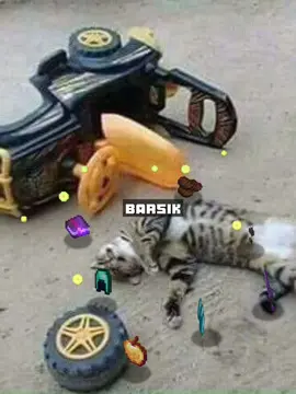 што......... #кот #котразбился #Minecraft #minecrafteffect #котразбилсянамашине #майнкрафт #майнкрафтэффект #майнкрафтшаблон #шутка #юмор #ржака #fyp #foryou 