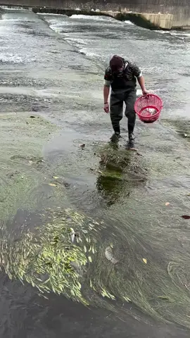 #fishing #nature 