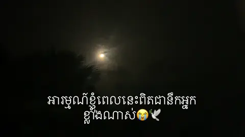 អូនហា៎ បងនឹកអូនណាស់ បងអែកការណាស់អូនដឹងអត់តាំងពីអូនចាកចេញទៅបងនឹកអូនស្ទើឆ្កួតម្តងៗហើយ😭🕊️