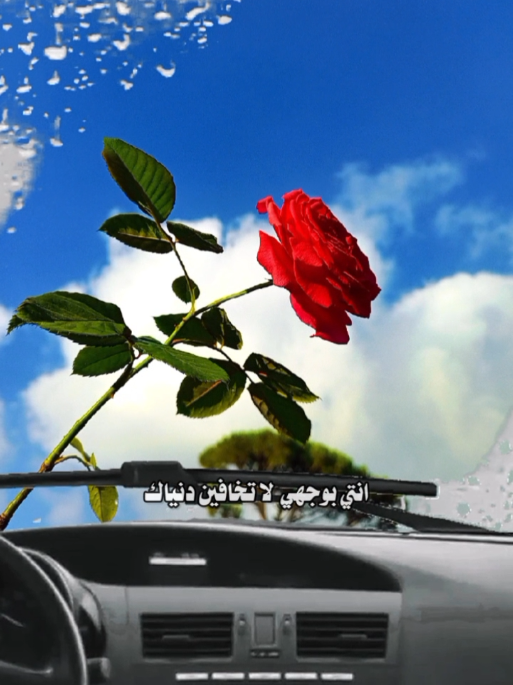 #اختي #انتي_بوجهي  #خالد_الدهيري #شيلات #اكسبلوررررررر #اكسبلورررررررررررررررررررر #trending #viral #تصويري #lavendr81 #تصميم_فيديوهات🎶🎤🎬 #CapCut 