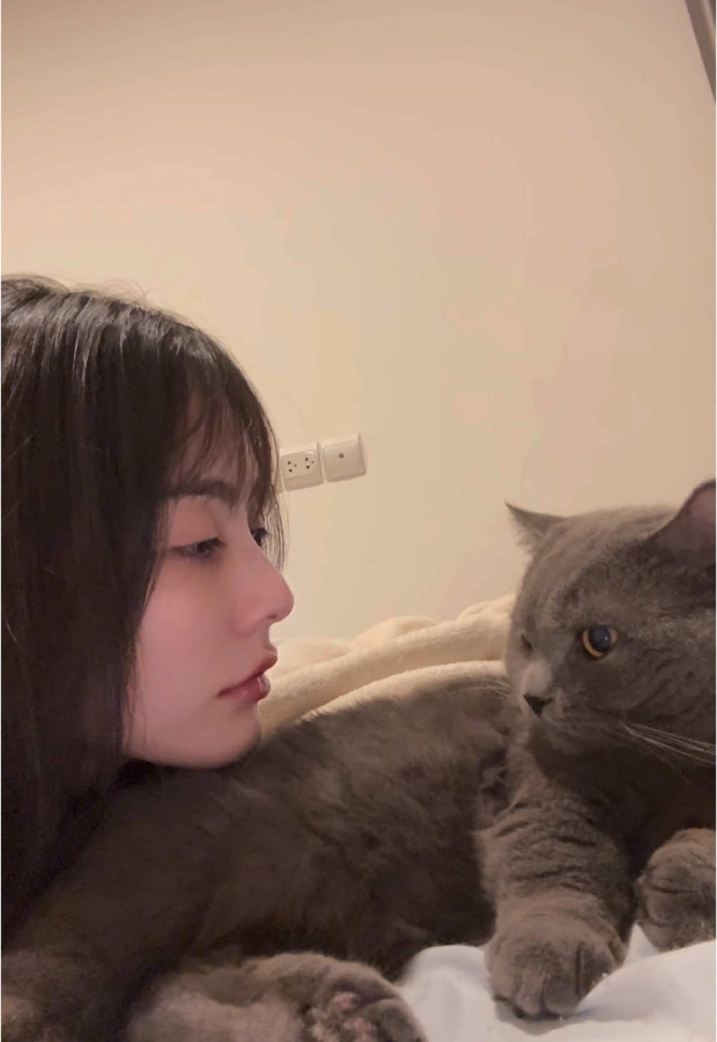 แมวใหม่ ไกล้ฉัน