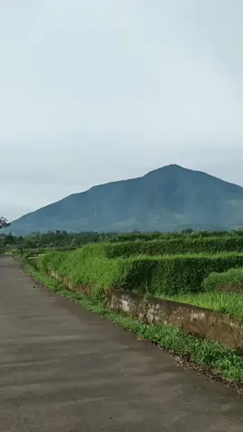 rela ngahutang ka sanah kemari terus nganjuk Pajero 12 siki demi kamu beeeeb 🤣🤣🤣 #garut #garutpride🔥 #garutjawabarat #fyp #fypシ゚viral #fyppppppppppppppppppppppp