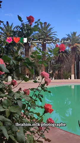 الصور من #فندق_الزيانييـن ب #تلمسـان ، المبني على الطراز الزياني الجزائري 🇩🇿 🌟🌳🌺📷🇩🇿🌴💓  HOTEL LES ZIANIDES TLEMCEN 💜❤️🩷🩵 مصور فوتوغرافي هاوي 📷 و صانع محتوى سياحي 🇩🇿 مرحبا بكم جميعا  #حافظ_على_تراثك#tourism #tunisia #maroc #مصور_فوتوغرافي #السياحة_في_الجزائر 