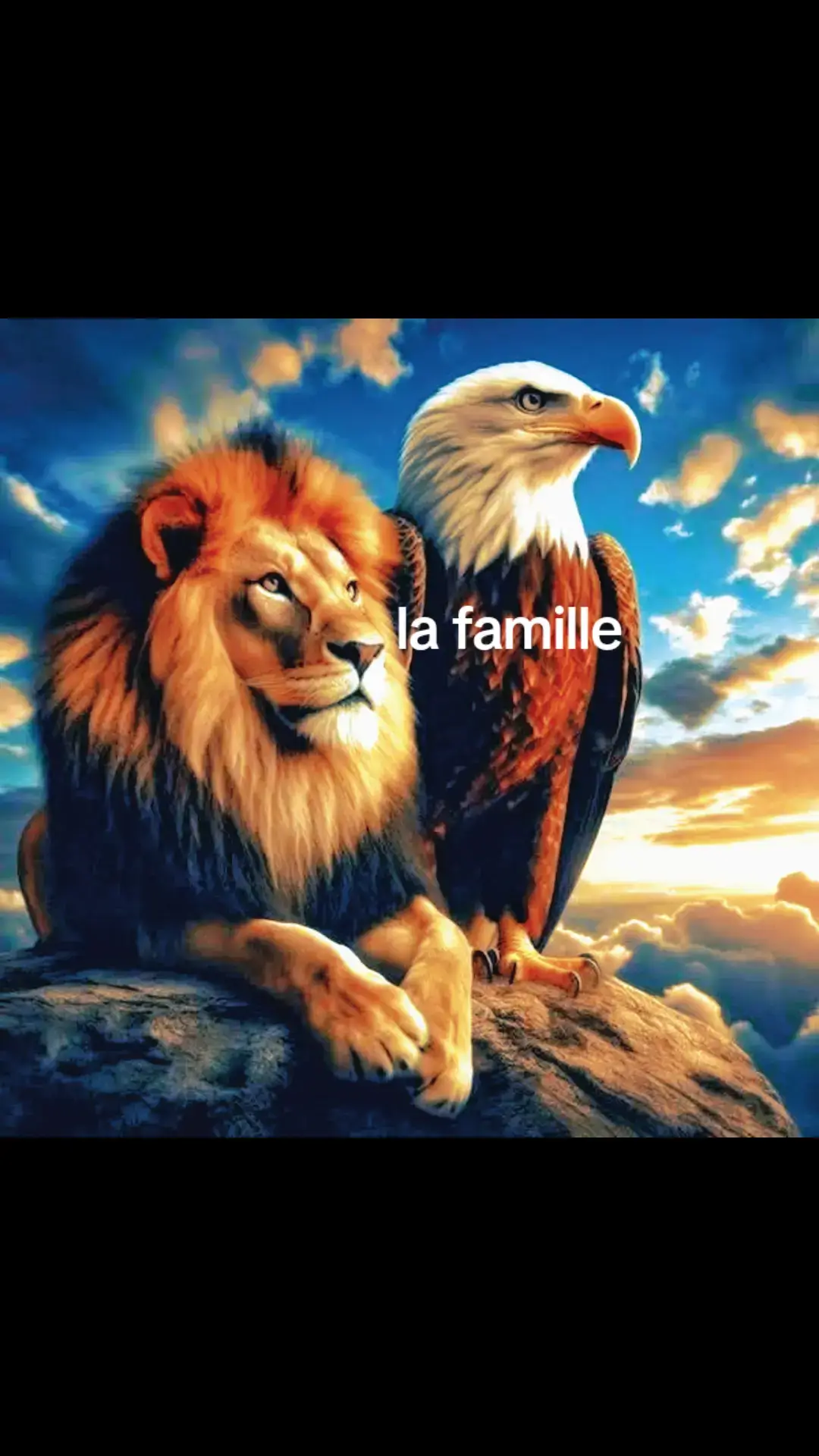 conseil citation #pourtoiii #songkhoe247 #viralvideos #100k 