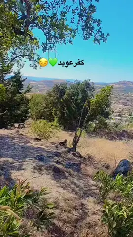 #كفرعويد_ياوجع_القلب_🥺💔متابعه #نعيم_الشيخ #لايك #شعب_الصيني_ماله_حل😂😂 