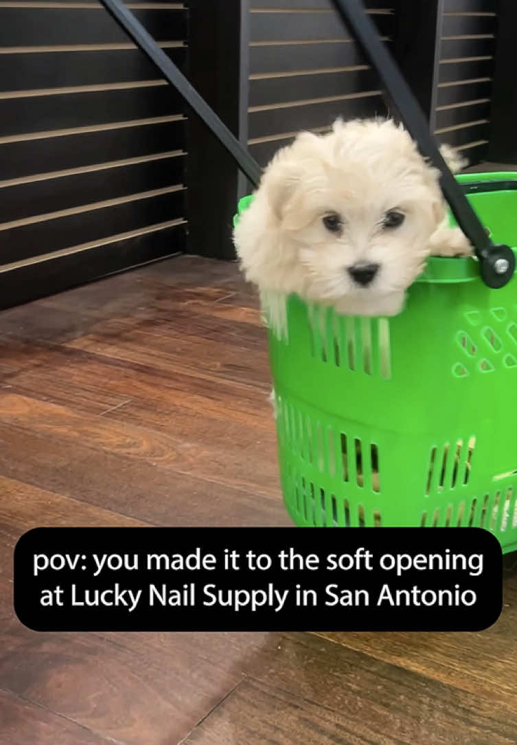 THANK YOU to everyone who showed up, sent love, and supported us—we couldn’t have done it without you! 🥹💅 We loved seeing all your excitement, and if you captured any moments, DM us your clips so we can share the love! 💚 This is just the beginning… Stay tuned for what’s next! 👀 - - - - #nailsupply #nailtech #fyp #fypage ##nails#luckynailsupply #sanantonio #jackiesignature