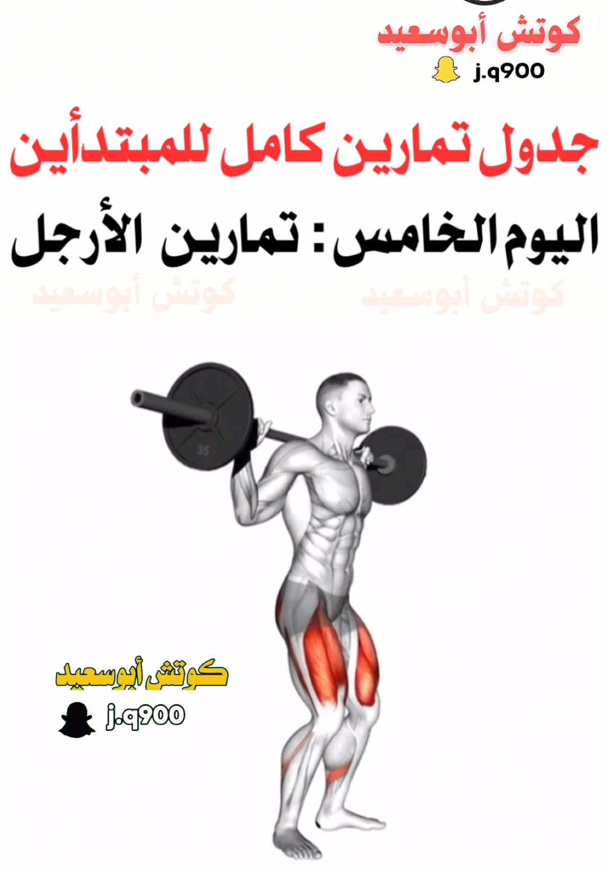 جدول تمارين اليوم الخامس والاخير : تمارين الارجل #كمال_اجسام #رياضة_كمال_اجسام #workout #Fitness #اكسبلور #تمارين 