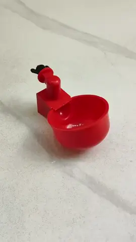 Một vài thứ hay P103