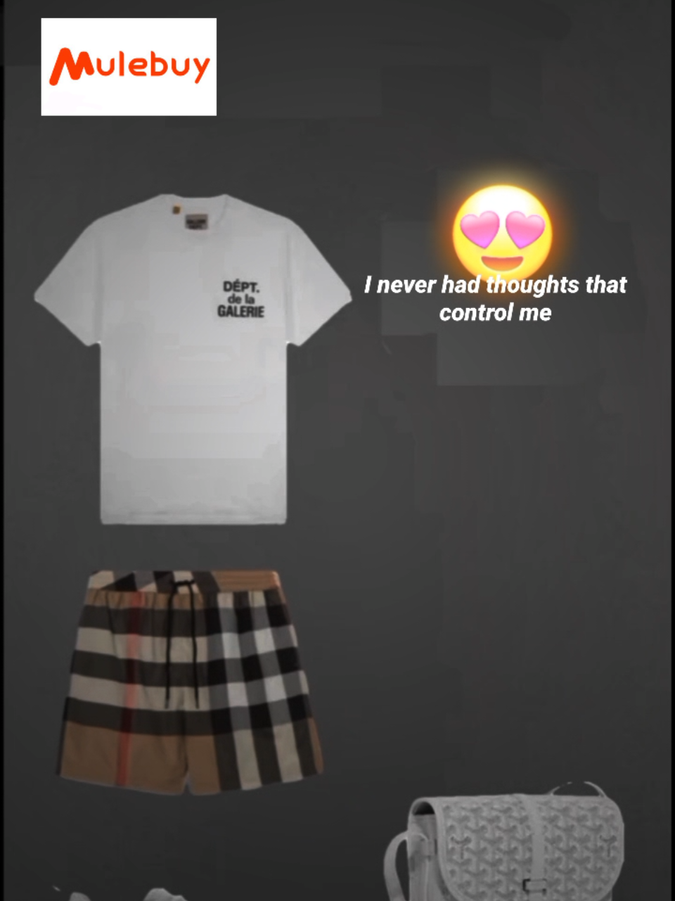 😍😍 LINK IN BIO #mulebuy #clotheshaul #haul #mulebuyspreadsheet #muletok #mulebuytok #popolar #drippy #fyp #perte #burberry #hot #outfit #ideasfit 