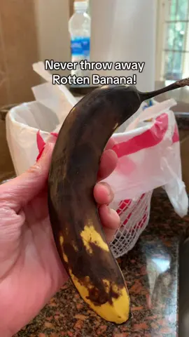 This is how you bring an over ripe bananas back to fresh 🤩 #save #money #hack #Home #cleaning #LifeHack #momhacks #momlife #hacks #momtok #musthaves #KitchenHacks #cleaninghacks #kitchentips #kitchenhack #cleanhack #lifehacks #tiktokhacks #tiktokhacks #viralhacks #homhacks #momhacks #diyhacks #candle #DIY #viraltiktok #easytips #fyp #tipsandtricks #viraltiktokvideo #hacks #usefullifetips #homehacks #MomsofTikTok 