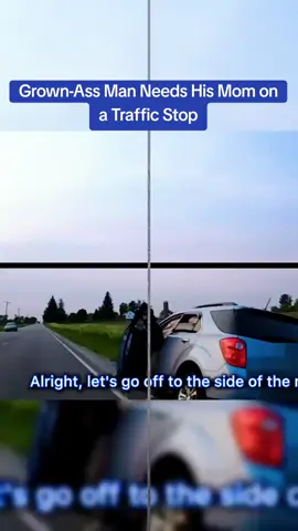 Grown-Ass Man Needs His Mom on a Traffic Stop #cops #copsoftiktok 