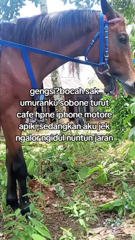 #pordasiindonesia #masukberandafyp #foryoupage #kudajingkrakpurworejo #fyppppppppppppppppppppppp #kudajogetkebumen #cilacap 