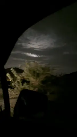 جفاني زماني ياريش العين #بيشه 