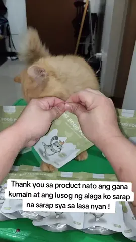 Sarap na sarap ang alaga ko sa lasa nyan healthy pa sa kabila at di maalat ang lasa nyan ipatikim nyo na din sa alaga nyo #catfood #wetfoodforcat #catsoftiktok 