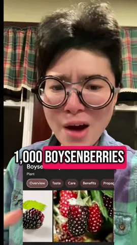 #chappellroan #berries #fyp 