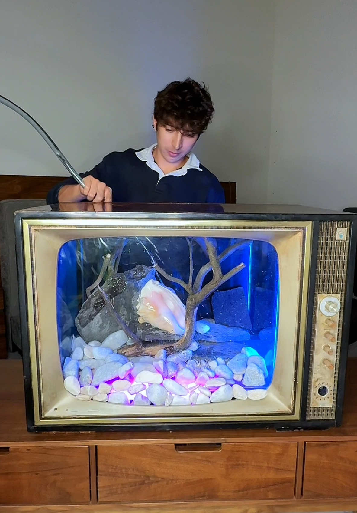 Hoy construi una pecera con la televisión de 70 años de la Abuela. #DIY #abuela  