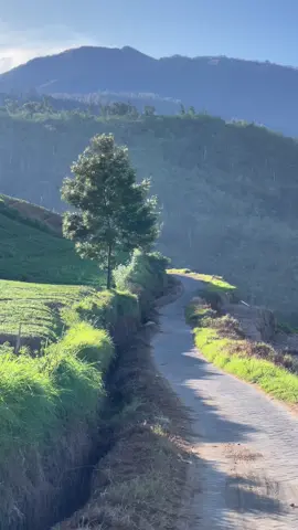 Merindukan Brakseng dengan segala keindahannya 🍃🌥️