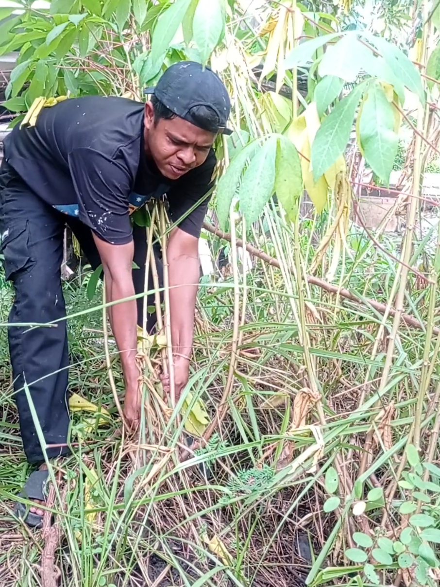 zaman serba susah. #bocah #betawi #lucu #ngoceh #bekasihits #panen #bekasihits #alwi_uyy #fyp #fyppppppppppppppppppppppp 