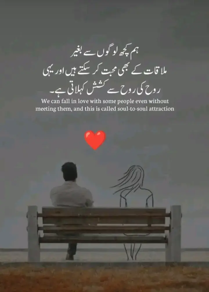 #🦋 