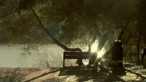 #aesthetic #aestheticvideos #digicam #fypシ゚viral #nostalgia #memories #fyp #digitalcamera #camcorder #cinematography #film #lake #filmmaking #nostalgic #memory 