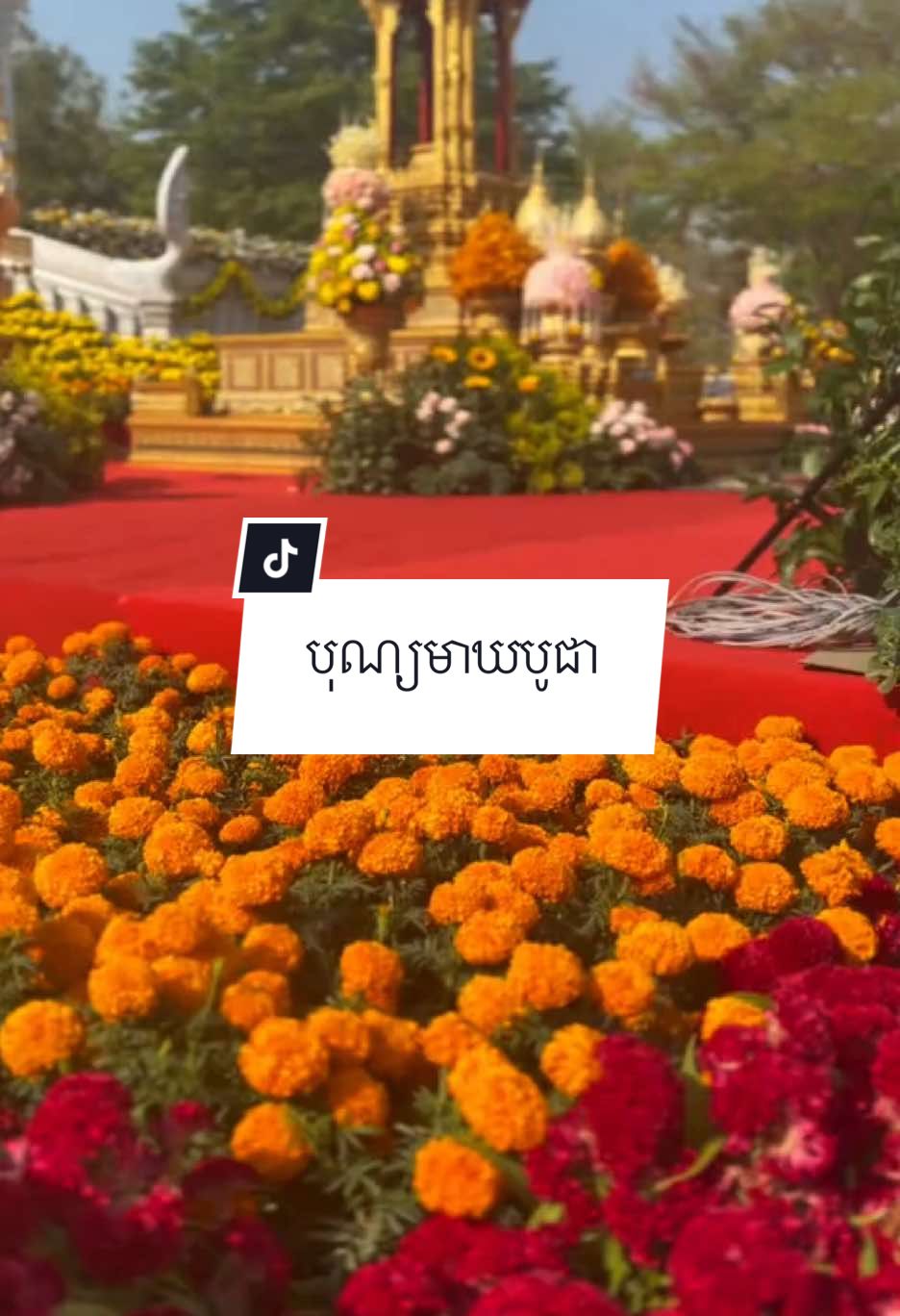 អនុមោទនា បុណ្យមាឃបូជា☸️🪷 #អារម្មណ៍ #គតិធម៌អប់រំចិត្ត 