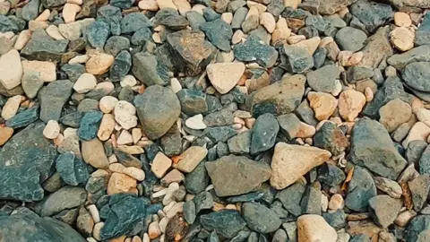 #CapCut #78l1sonhoa #xuhuong 