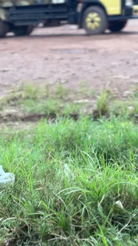 🤲🏻