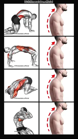 ✅ How to Fix Shoulder Posture  ① Cat Cow  ② Crab Pose Stretch  ③ Armless Prayer Stretch ④ Chest Stretch  3 sets 15-20 reps  #Fitness #gym #exercise  #workout #workoutroutine  #exercisetips  #fitnesstips  #bodybuilding  #postureexercises 